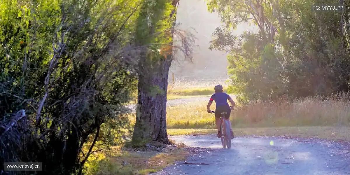 📺 实时解说，带你沉浸式感受赛场心跳！